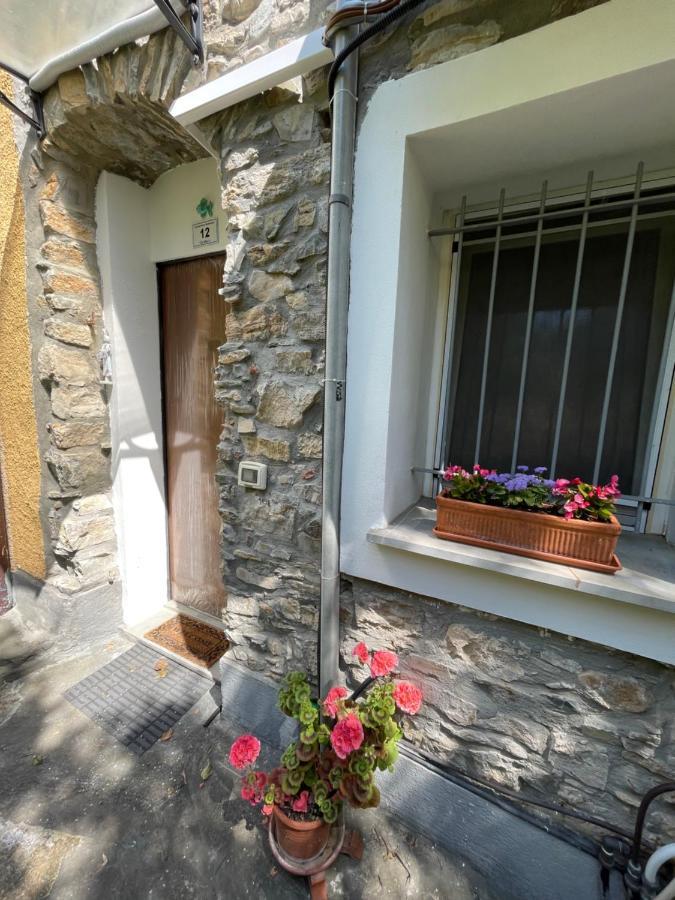 Apartment Piccola Navetta