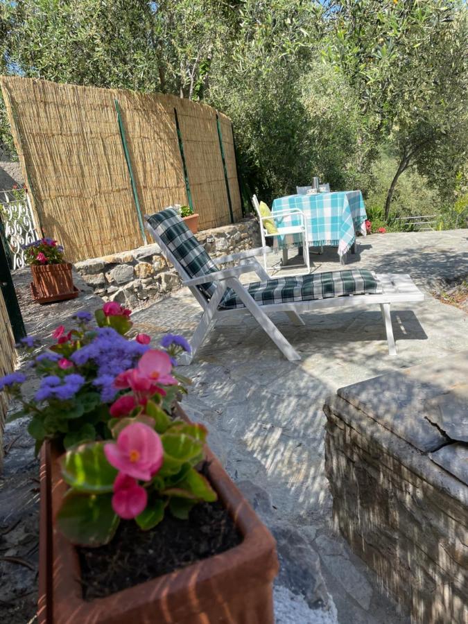 Piccola Navetta Apartment Diano San Pietro