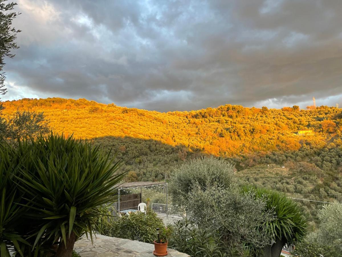 Piccola Navetta Apartment Diano San Pietro